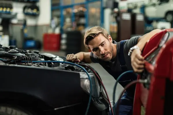 Brake pad and brake service